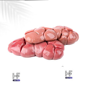 beef kidney 1.jpg