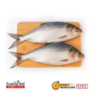 hilsa fish.jpg