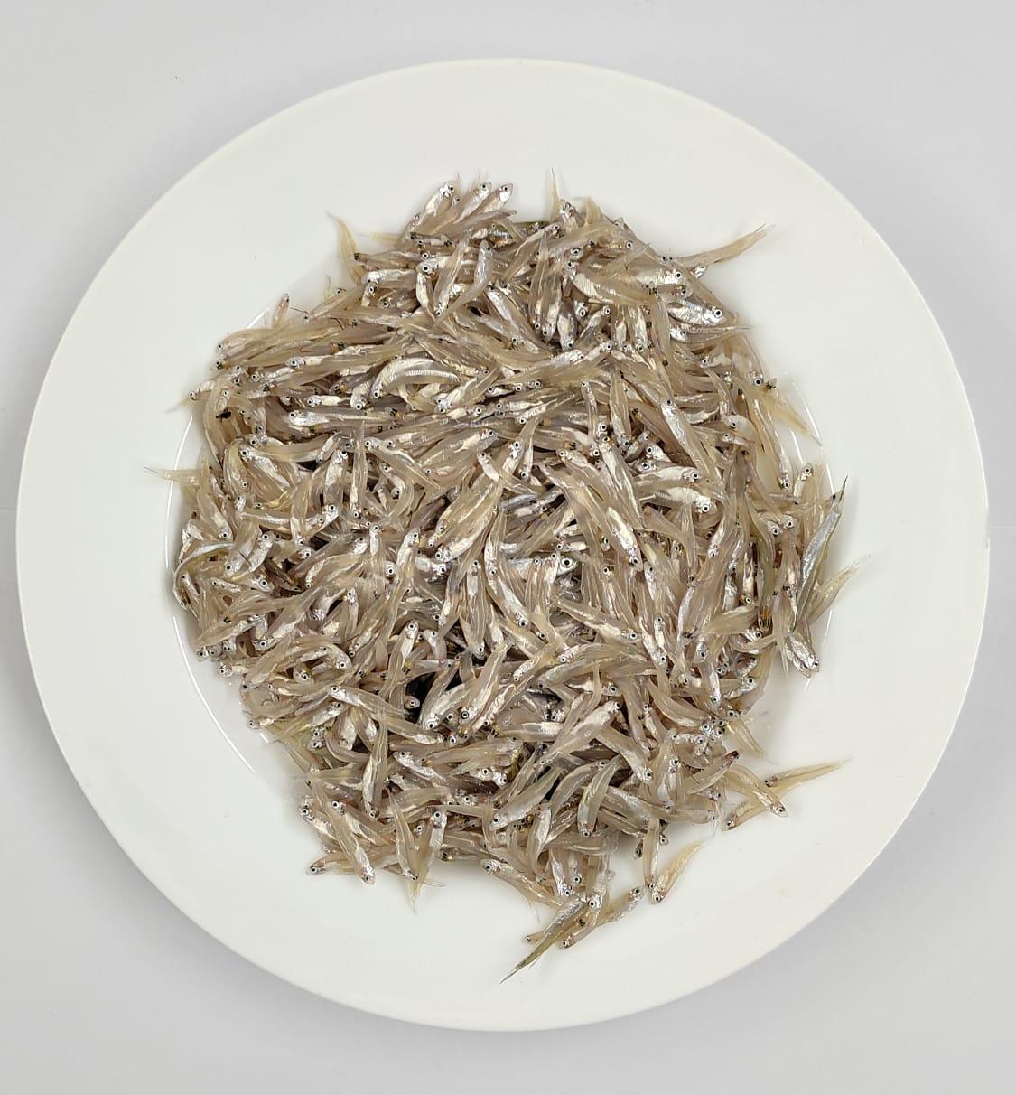 kaski fish 1.jpg kaski fish 1.jpg